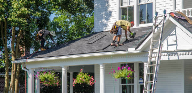 Best Gutter Installation and Repair  in Wolfe City, TX